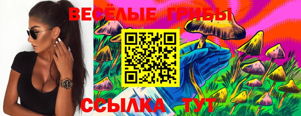 Галлюциногенные грибы GOLDEN TEACHER Маркс